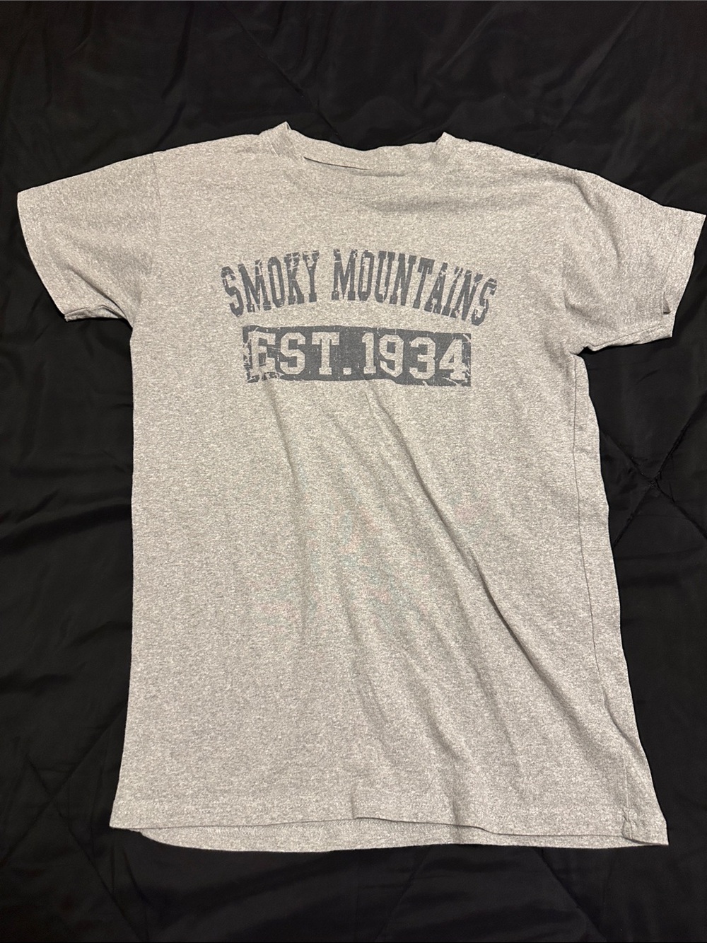 Smoky Mountains Gray Graphic T-Shirt